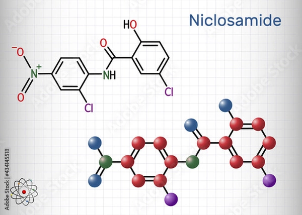 Fototapeta Niclosamide molecule. It is chlorinated salicylanilide, antihelminthic drug for the treatment of tapeworm infections. Structural chemical formula and molecule model. Sheet of paper in a cage