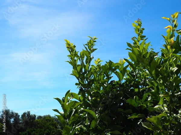 Obraz OLYMPUS DIGITAL CAMERA