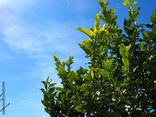 Obraz OLYMPUS DIGITAL CAMERA