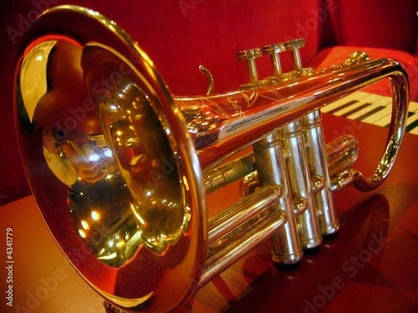 Obraz trompette