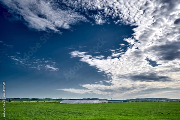 Fototapeta Rows of greenhouses under the blue sky in Russia