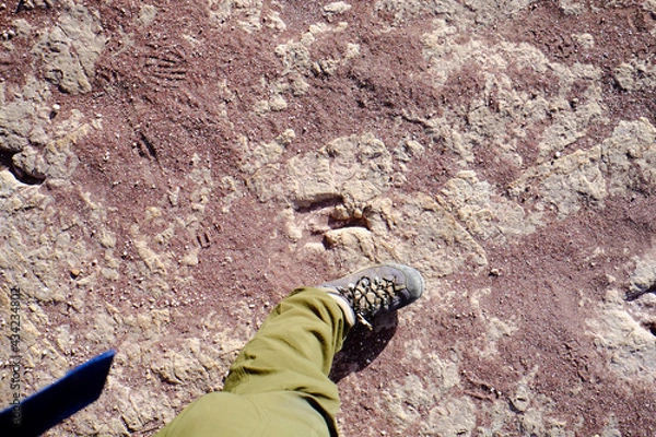 Obraz 南米ボリビアの秘境、トロトロ渓谷の美しい地形と恐竜の足跡やUmajalanta鍾乳洞