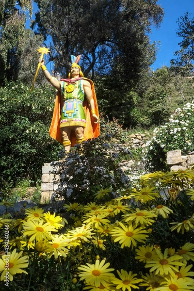 Obraz ボリビアのチチカカ湖に浮かぶ太陽の島に咲く花々