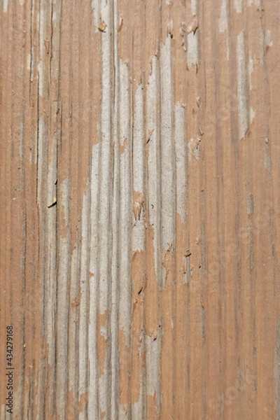 Obraz old wood texture