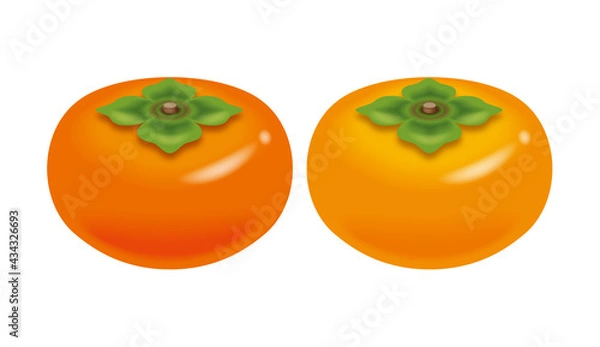 Obraz 柿のイラスト。アイコンセット。