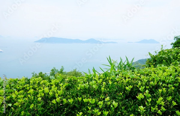 Obraz 島が見える