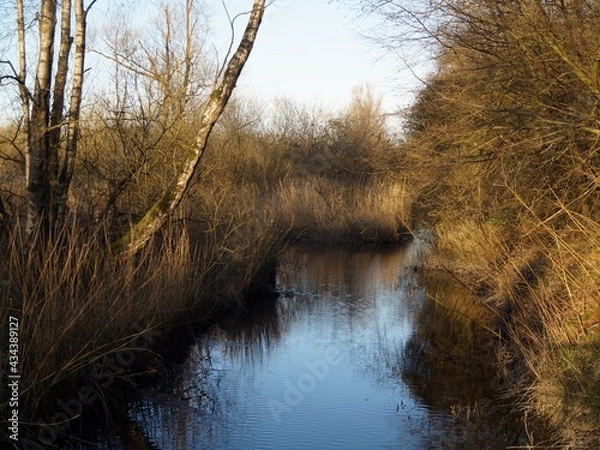 Obraz Stream in the spring forest 