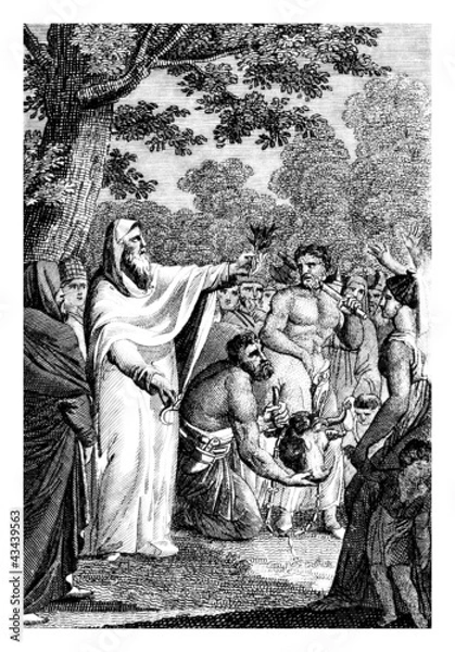 Obraz Druidic Ceremony