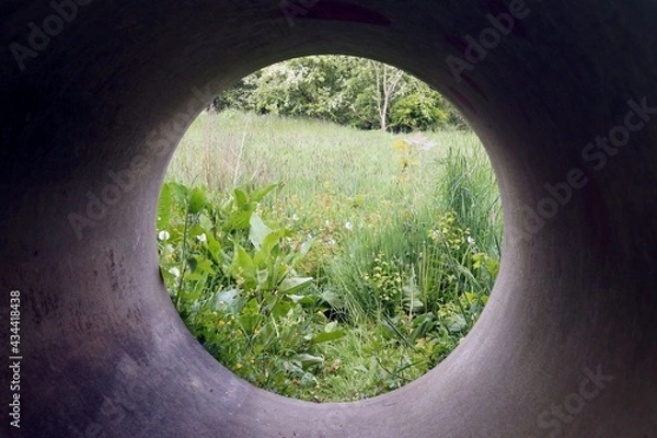 Obraz Summer nature - view from a large pipe 