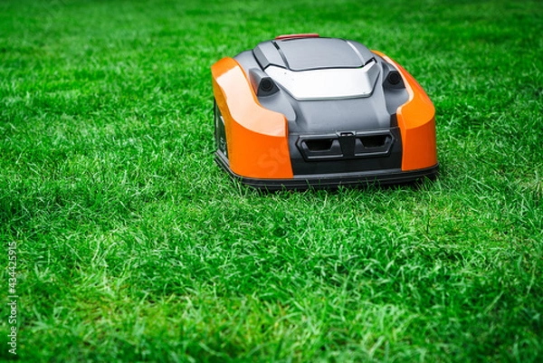 Fototapeta Lawn robot mows the lawn. Robotic Lawn Mower cutting grass in the garden.