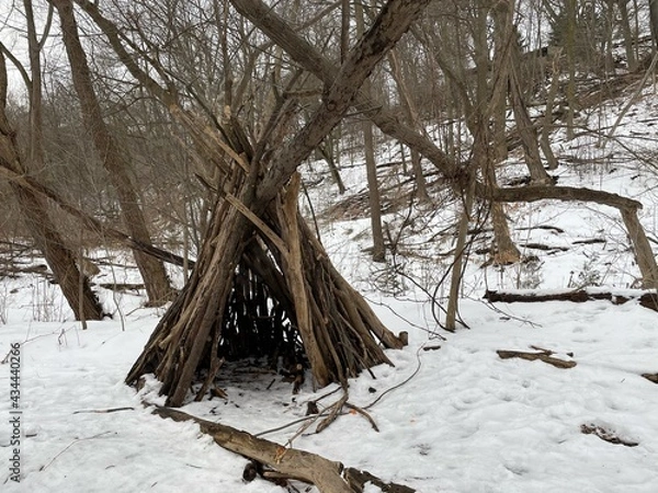 Obraz winter in the forest