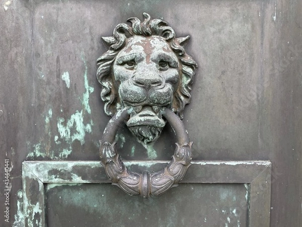 Obraz lion door knocker