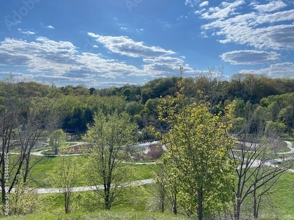 Obraz landscape with trees and sky