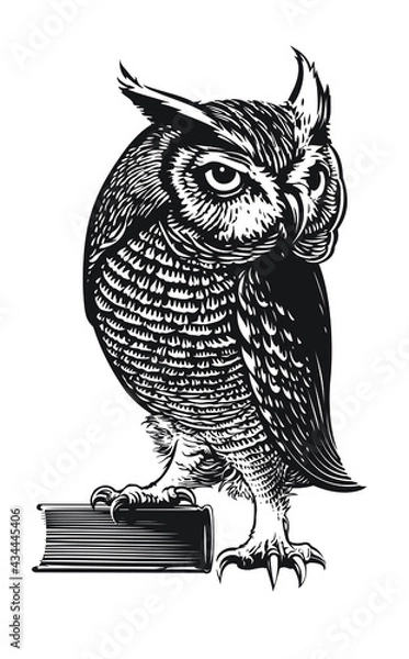 Obraz Wise owl
