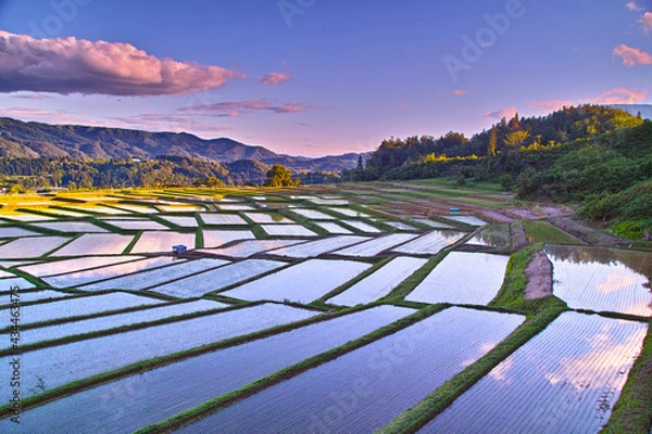 Obraz 棚田の風景（山形県朝日町）
