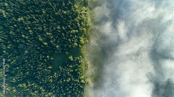 Obraz top view of a green forest with a bright blue river with fog and white clouds. photo wallpaper and promotional products for summer vacations and morning landscapes