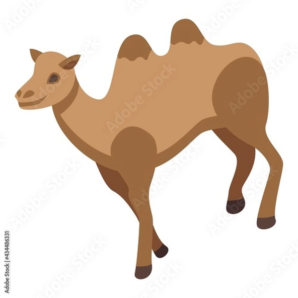 Fototapeta Camel animal icon. Isometric of Camel animal vector icon for web design isolated on white background