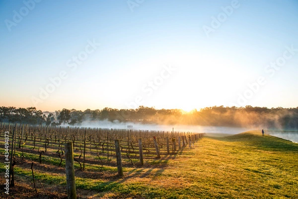 Fototapeta Australia