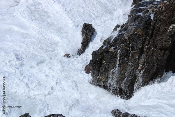 Fototapeta schiuma del mare