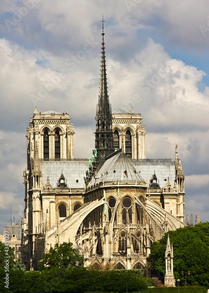 Fototapeta Notre Dame Cathedral