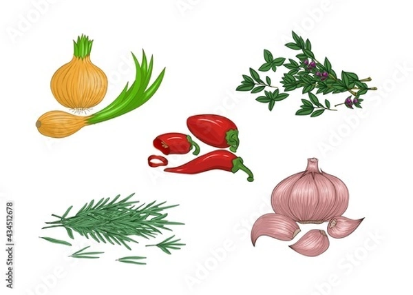 Obraz Condiments and spices. Set.