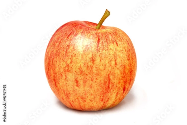 Obraz Manzana