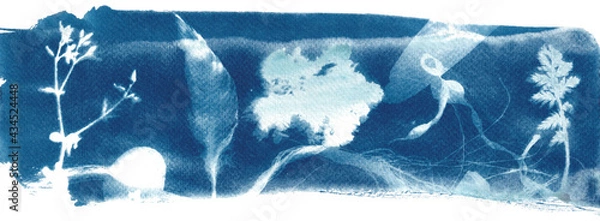 Fototapeta Banner in blue, cyanotype of beach finds, feather, kelp and shells, printed with the sun