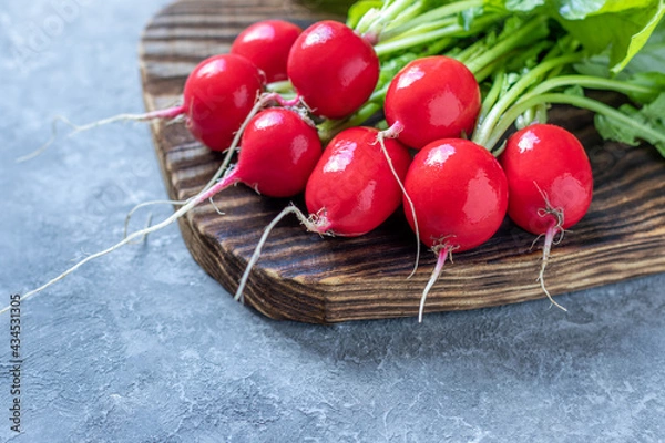 Obraz Set with fresh organic vegetables from farm