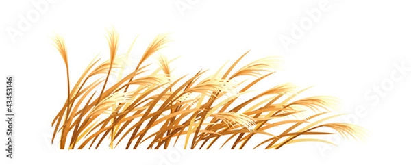 Obraz vector icon reed