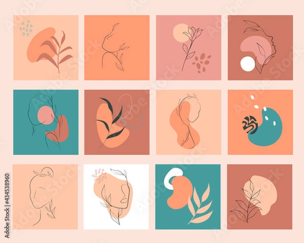 Fototapeta Social Media TEMPLATES of abstract shapes and line sketch, flower in in natural, delicate colors. Modern shapes and hand drawn line, flower.