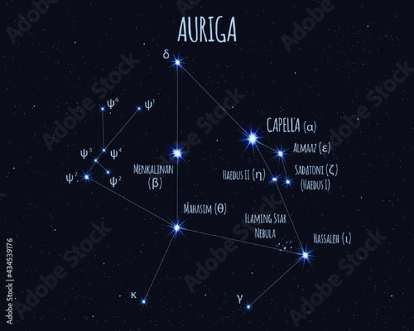 Obraz Auriga (The Charioteer) constellation, vector illustration with the names of basic stars against the starry sky