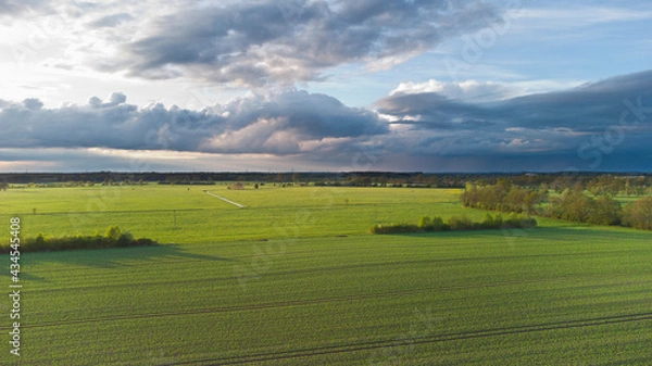 Obraz Wiesenlandschaft