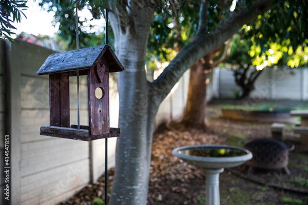 Fototapeta Bird feeder in peaceful garden with bird bath and trees in the background