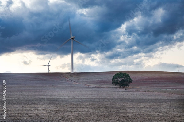 Fototapeta Wind turbines on a hill with lone tree in the foreground