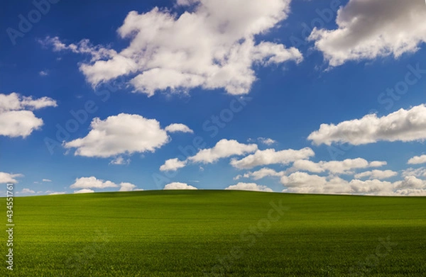 Obraz Hilly landscape with cloudy sky windows XP like background