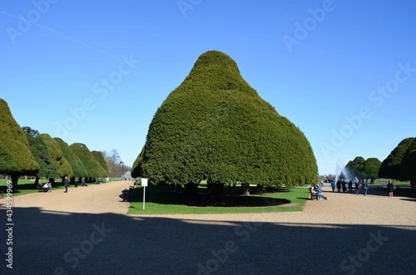 Obraz Hampton Court Park