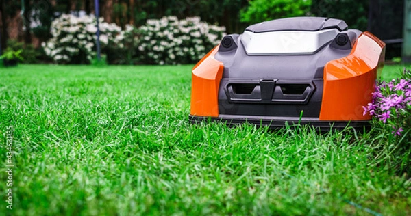 Fototapeta Lawn robot mows the lawn. Robotic Lawn Mower cutting grass in the garden.