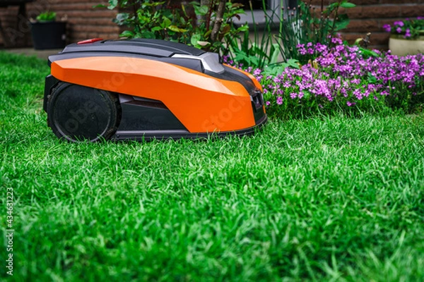 Fototapeta Lawn robot mows the lawn. Robotic Lawn Mower cutting grass in the garden.