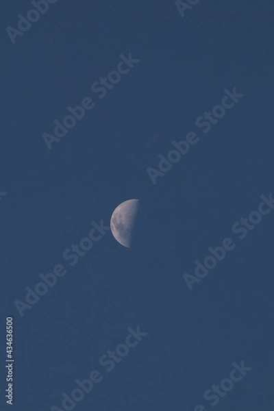 Obraz moon in the sky