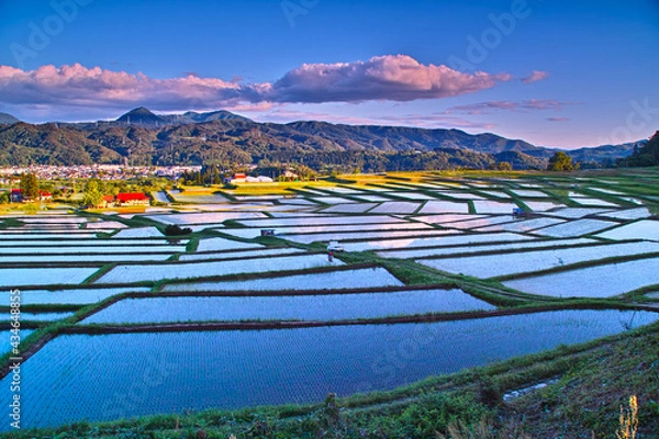 Obraz 棚田の風景（山形県朝日町）
