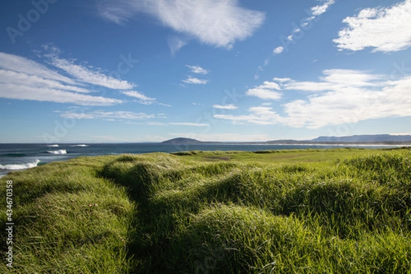 Fototapeta Ocean coastline with grassy fields and clouds on a sunny day.