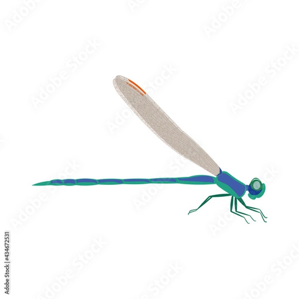 Fototapeta A beautiful blue-green dragonfly with transparent wings, red spots on them and large eyes. Summer colored flying insect side view. Vector illustration isolated on white background.