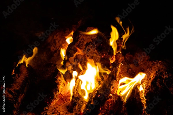 Fototapeta Camp fire buring