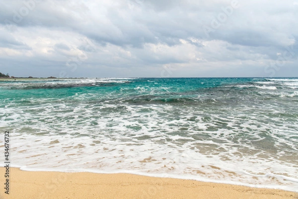 Fototapeta 奄美大島の土盛海岸
