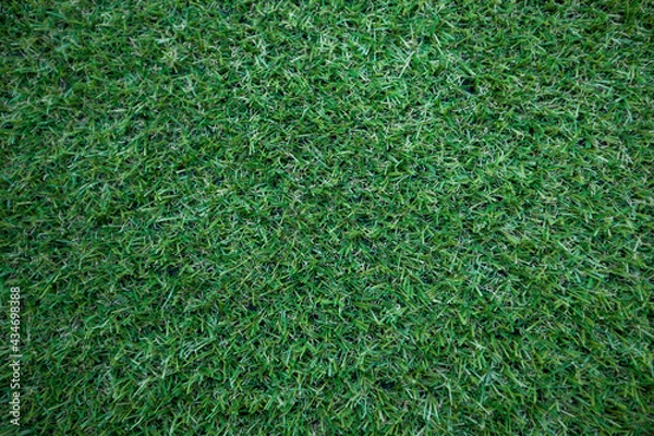 Fototapeta 초록색의 인조잔디
