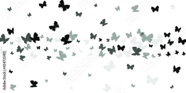 Fototapeta Fairy black butterflies flying vector illustration. Spring pretty moths. Decorative butterflies flying children wallpaper. Tender wings insects graphic design. Fragile creatures.