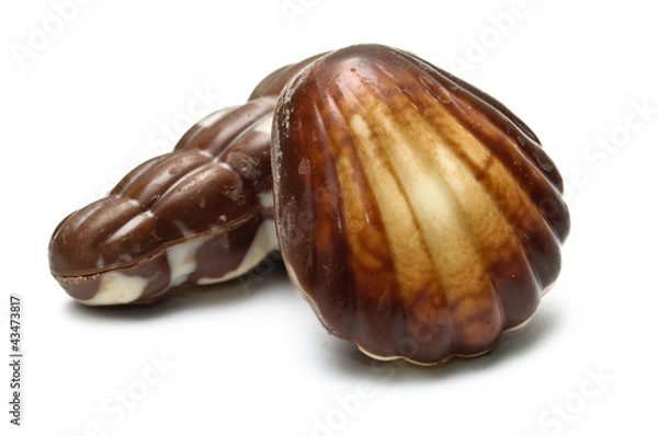 Obraz A chocolate periwinkle and mollusk