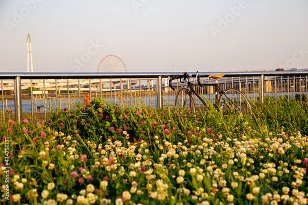 Obraz ロードバイクと花