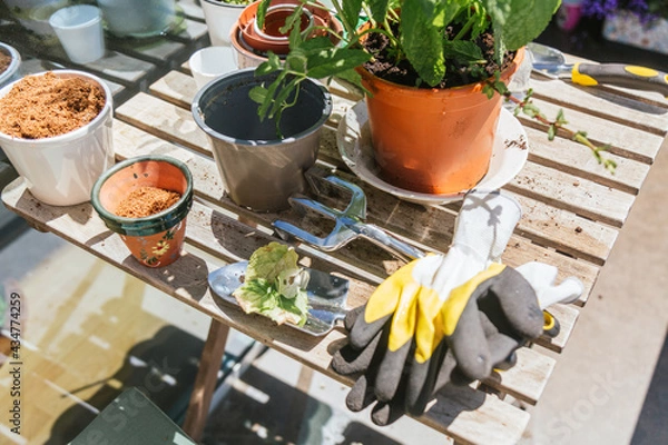 Obraz garden table with pots and gardening tools