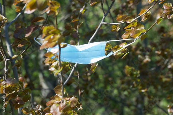 Fototapeta A medical mask hangs on a tree branch. Environmental pollution, medical waste.